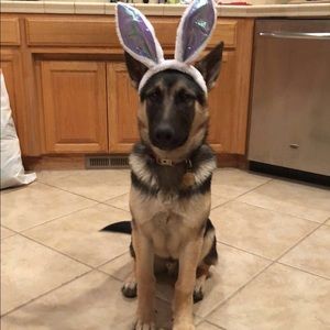 Meet your Posher, Andy